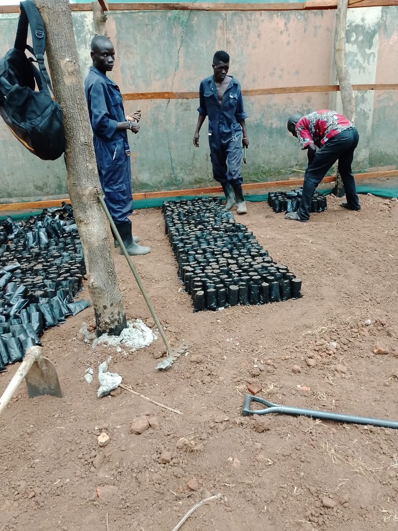 School construction and transitional shelters