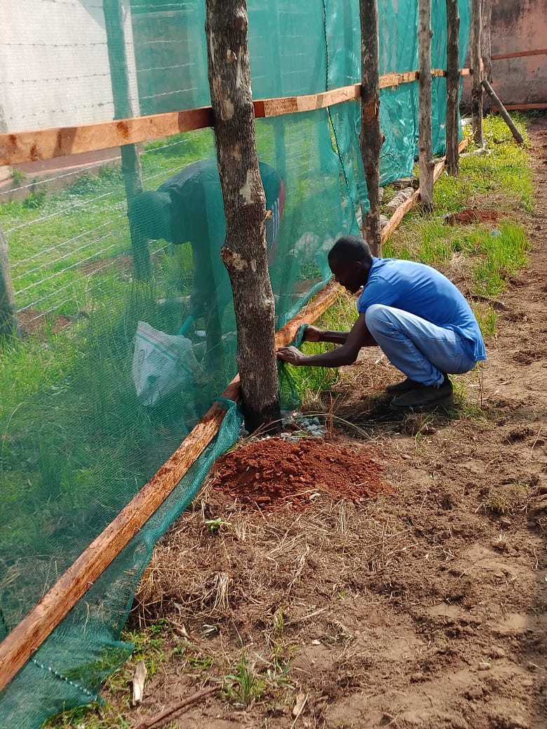 School construction and transitional shelters