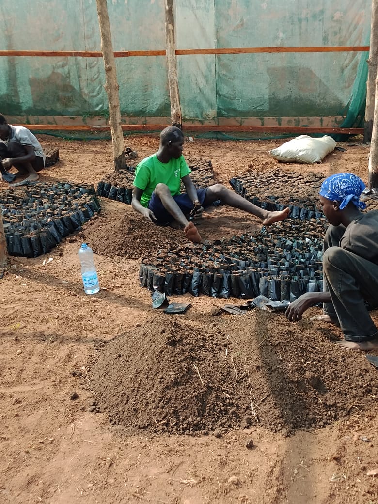 School construction and transitional shelters