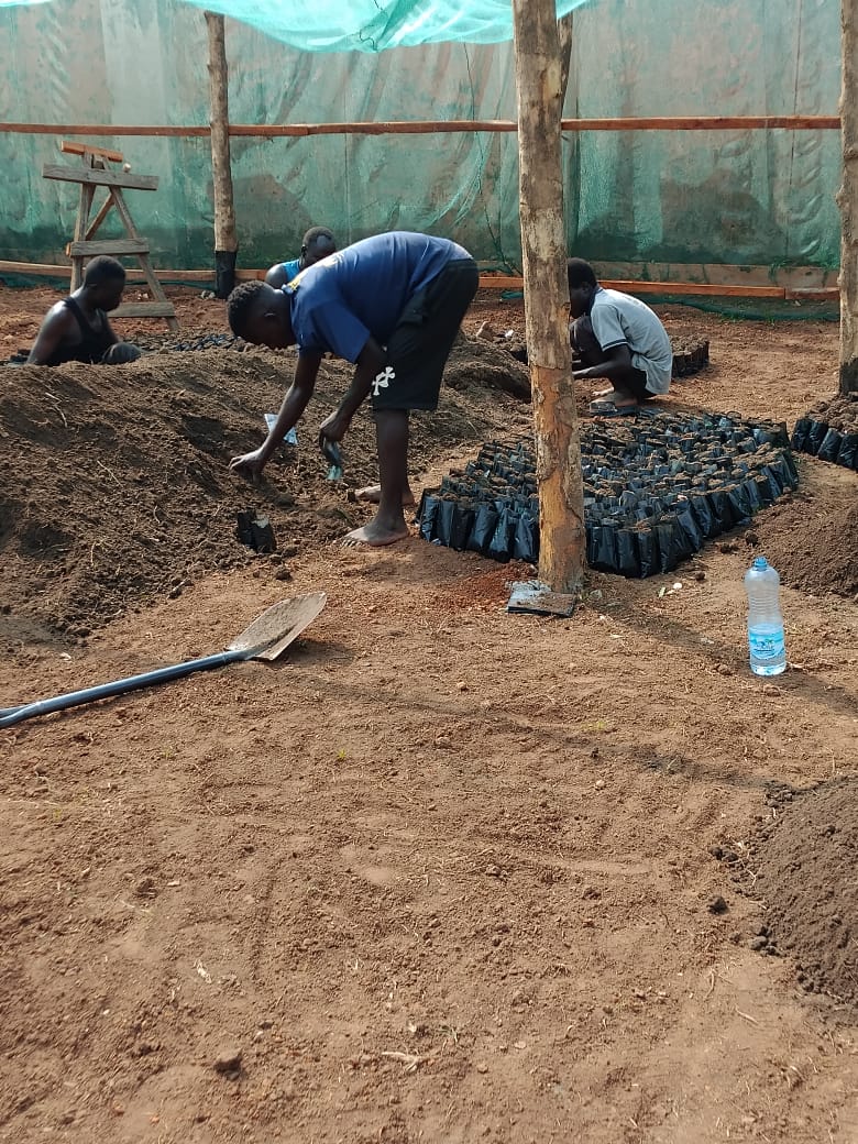 School construction and transitional shelters