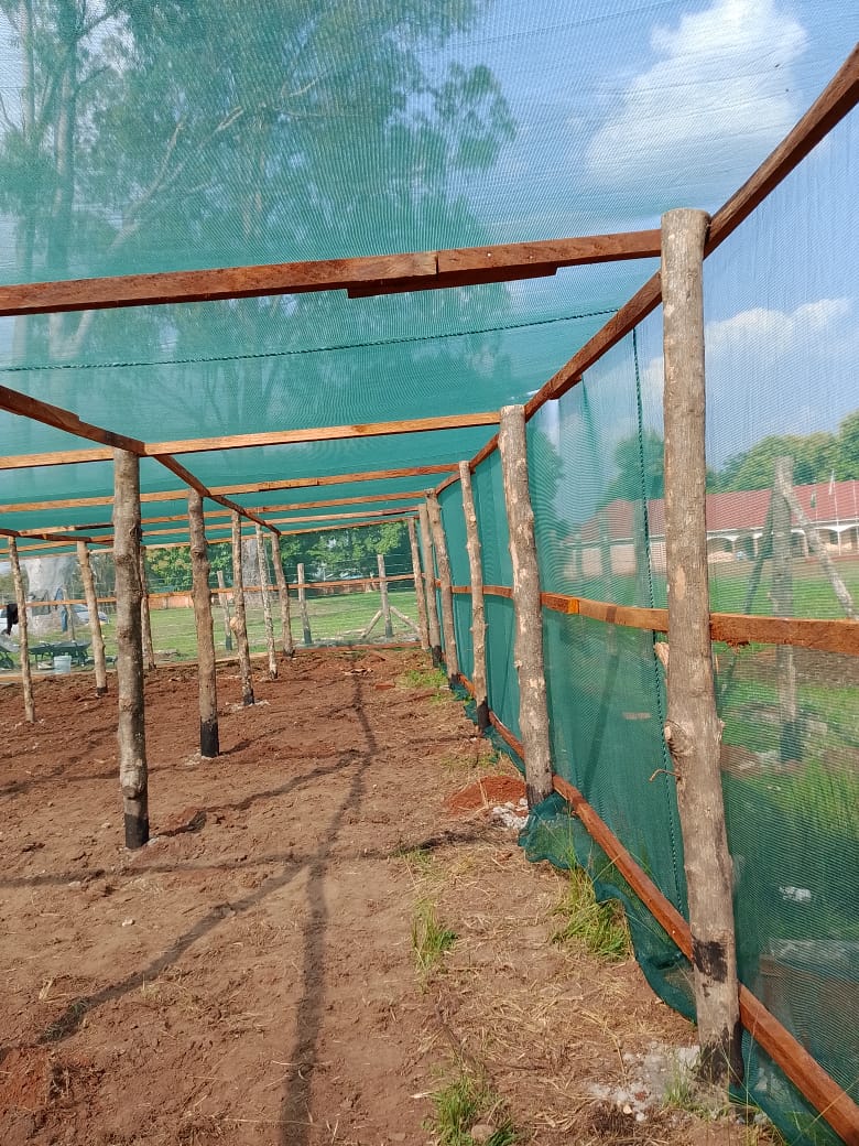 School construction and transitional shelters