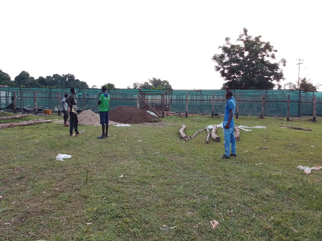School construction and transitional shelters